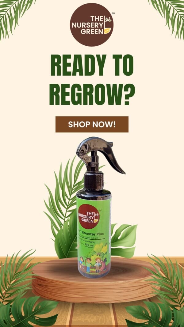 The Nursery Green Plant Booster Spray - Image 3